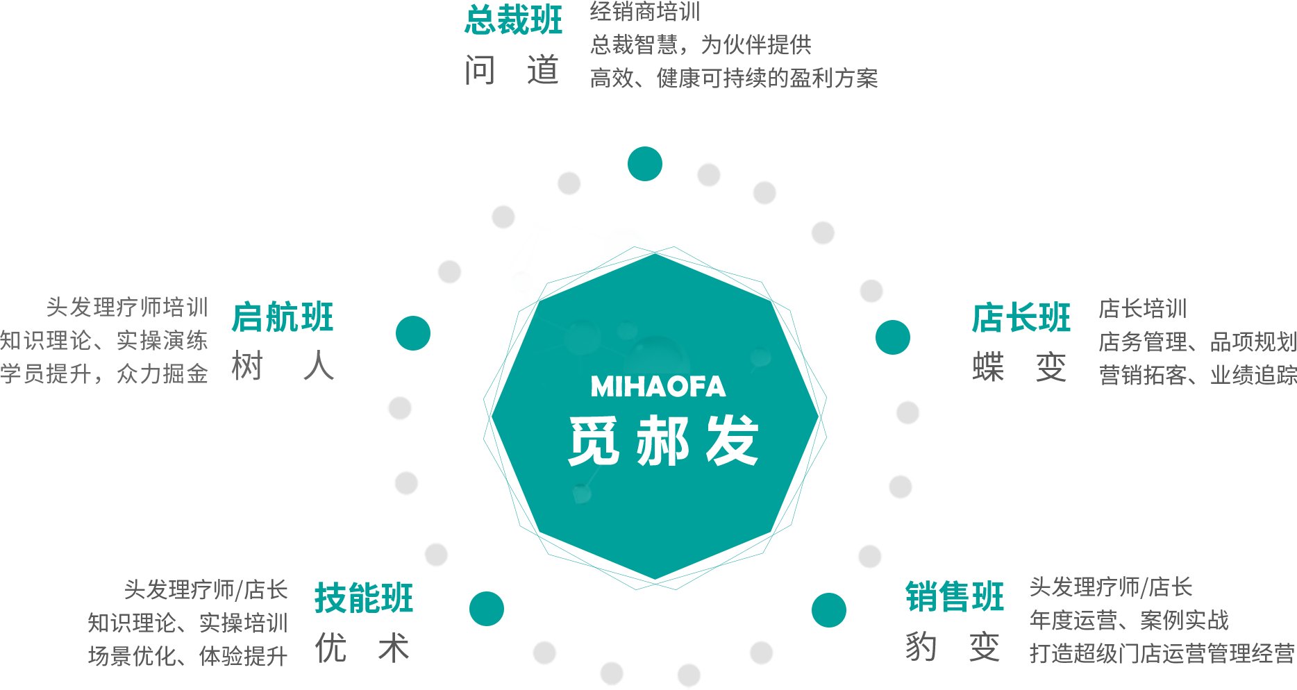 觅郝发头发理疗学院体系